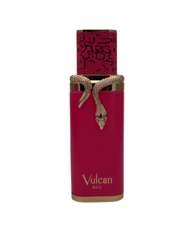 Perfume French Avenue Vulcan Baie Eau de Parfum 100ml Unisex - Perfumes Bogotá