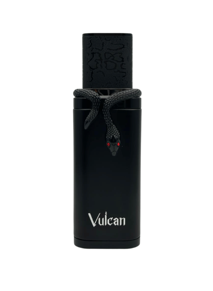Perfume French Avenue Vulcan Black Friday Extrait de Parfum 100ml Hombre