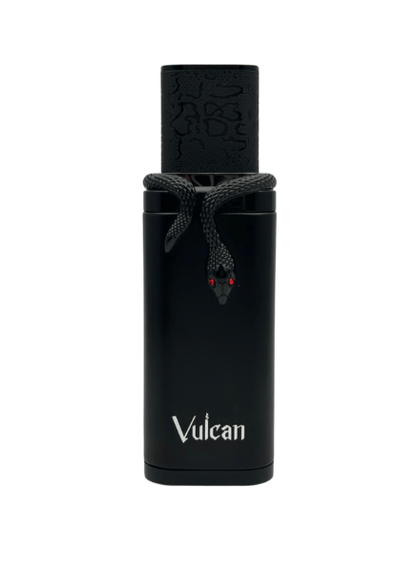 Perfume French Avenue Vulcan Black Friday Extrait de Parfum 100ml Hombre